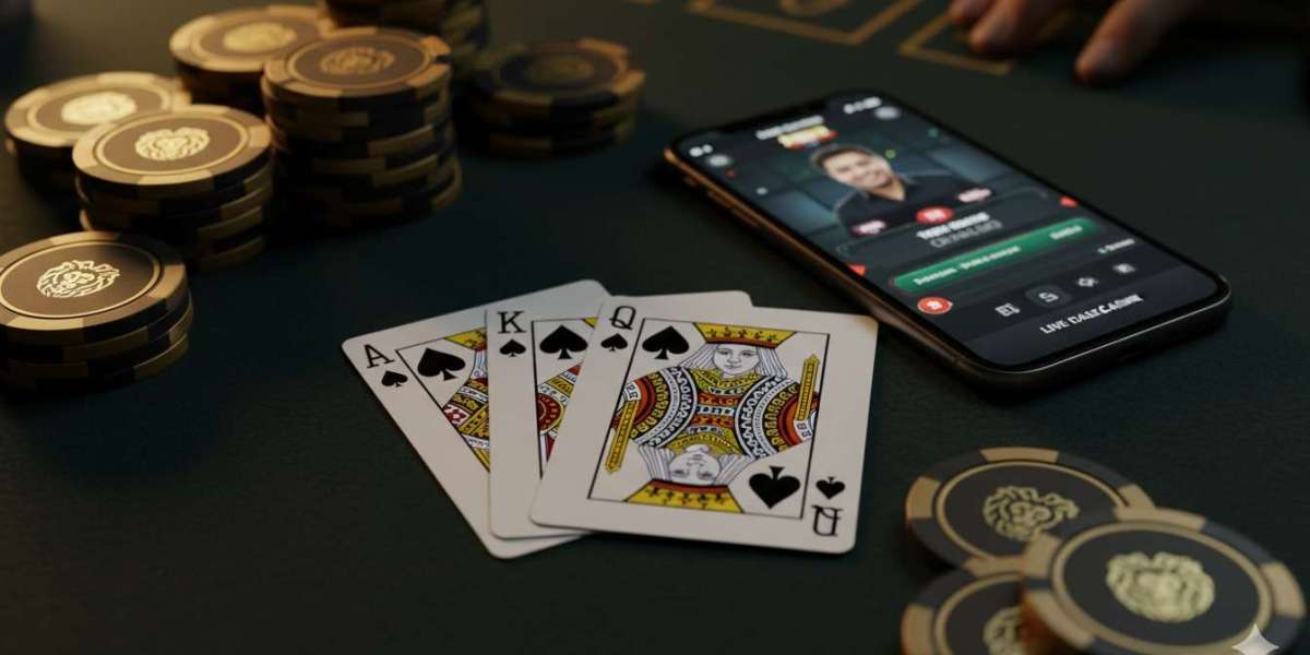 11xplay Casino: A Modern Destination for Online Betting