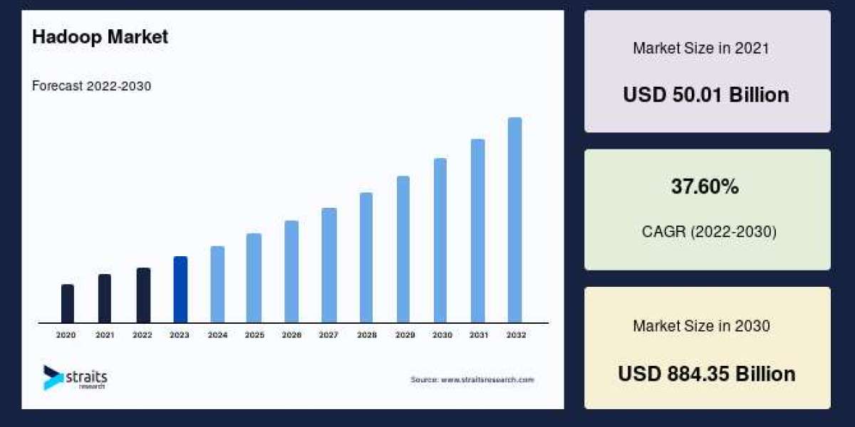 Hadoop Market: In-Depth Growth Analysis of Key Segments and Emerging Opportunities, Forecast by 2033