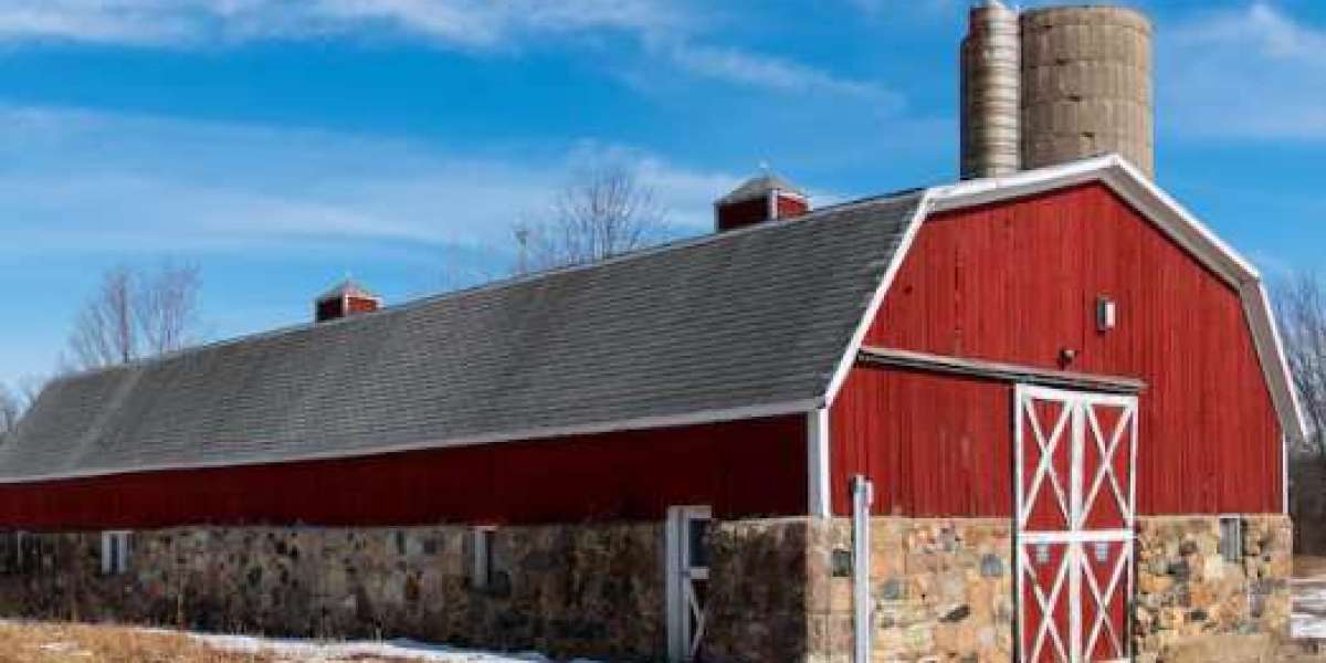 What Size Metal Barn Do You Need for Livestock or Equipment?