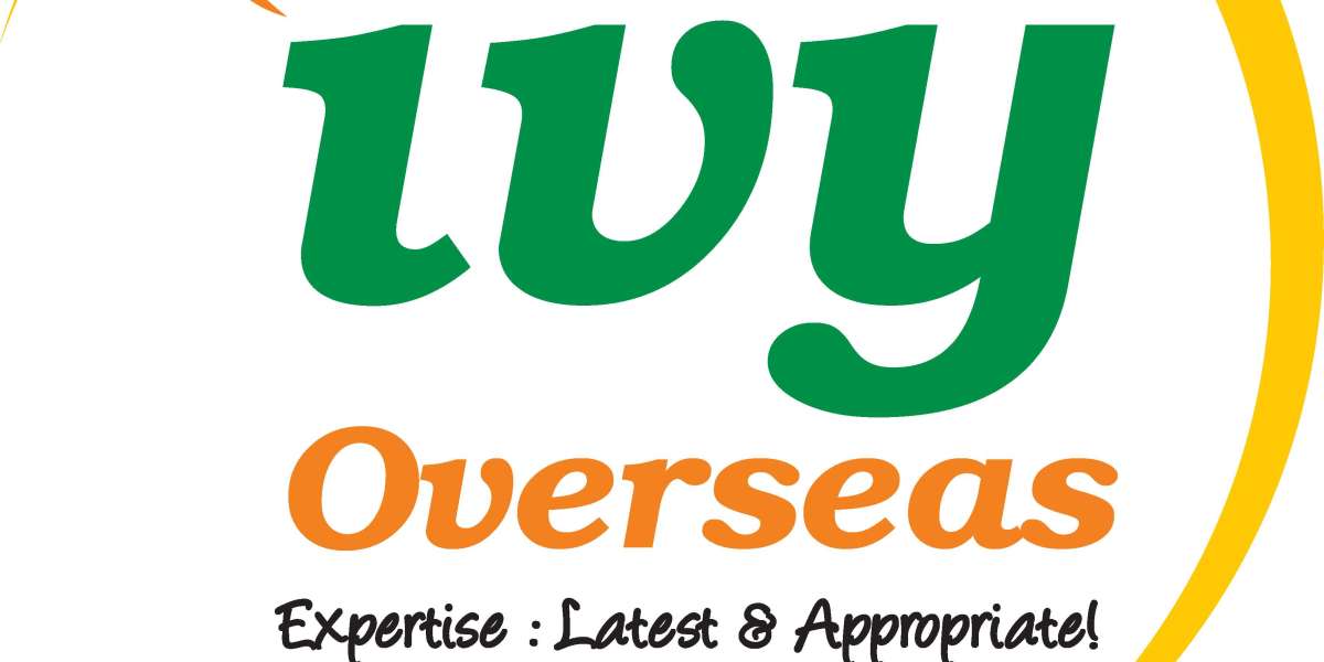 Foreign education consultants in Hyderabad