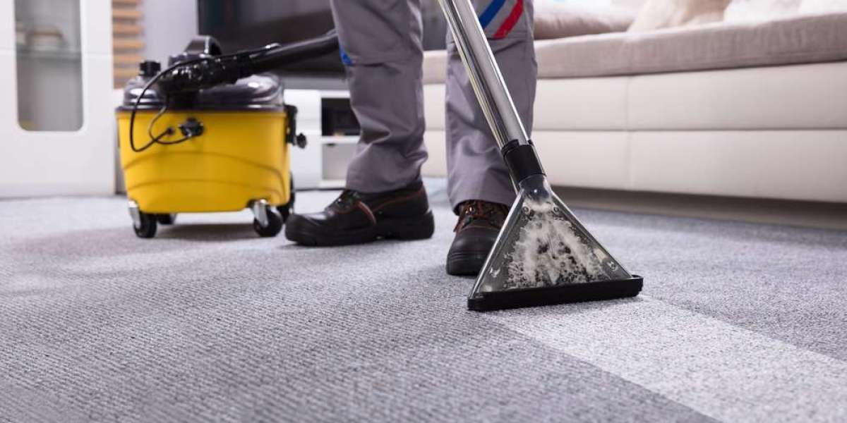 Essential Tips for Maintaining a Clean and Healthy Carpet at Home