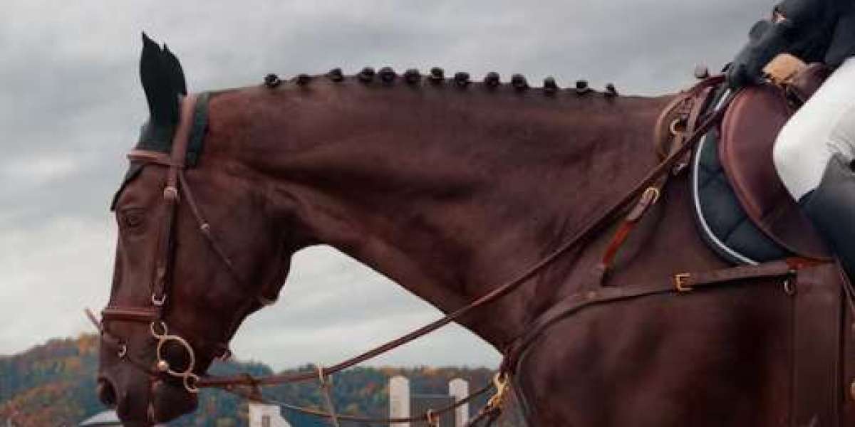 Are You Using the Correct Equipment for Your Riding Discipline