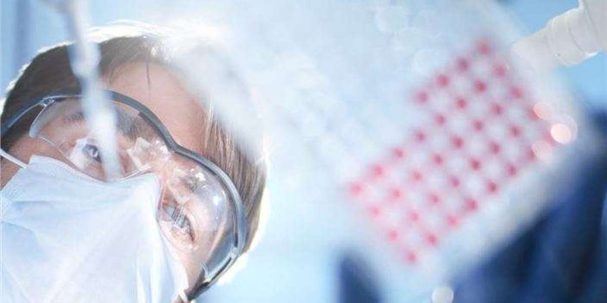 Decoding B‑Cell Complexity: How Single‑Cell Profiling Is Reshaping Immunology