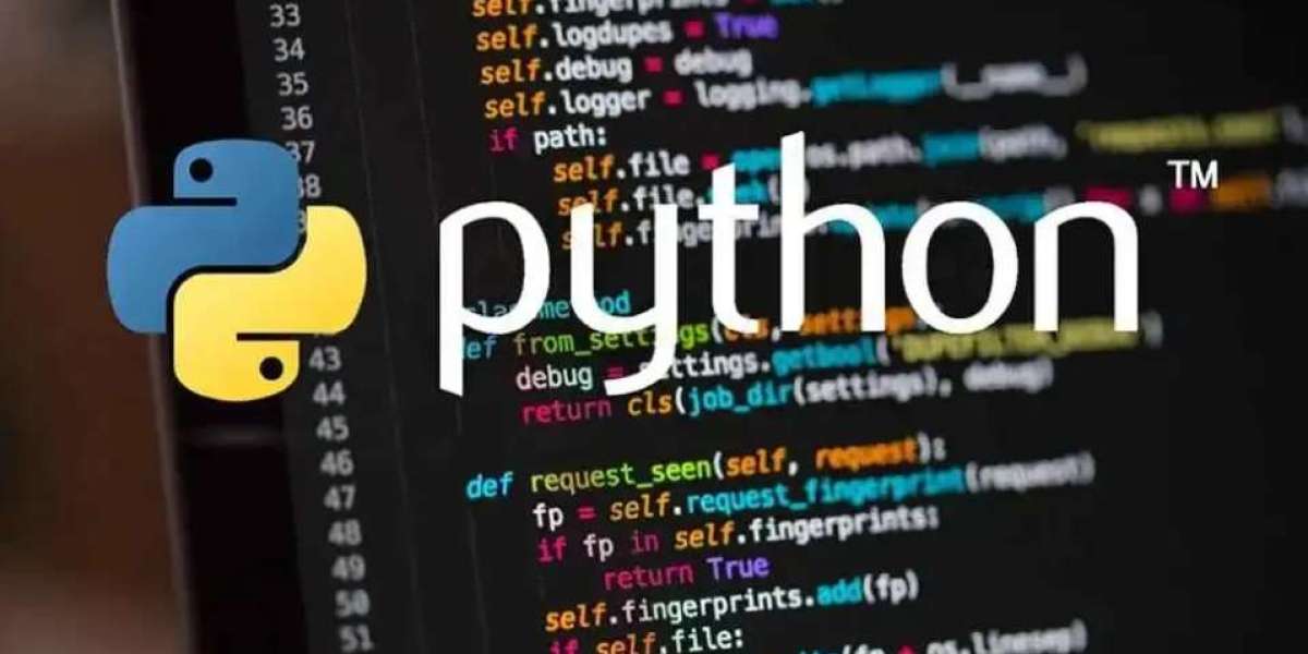 Mastering Python Challenges: Elevate Your Coding Skills