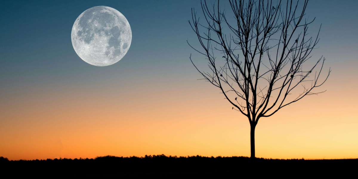 U4GM What to Grind in MLB The Show 26 WBC DD