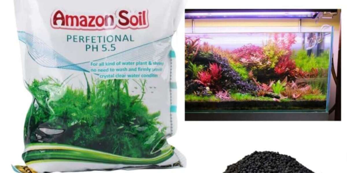 Essential Accessories for Your Aquarium in Qatar