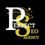 Perfect Agency Profile Picture