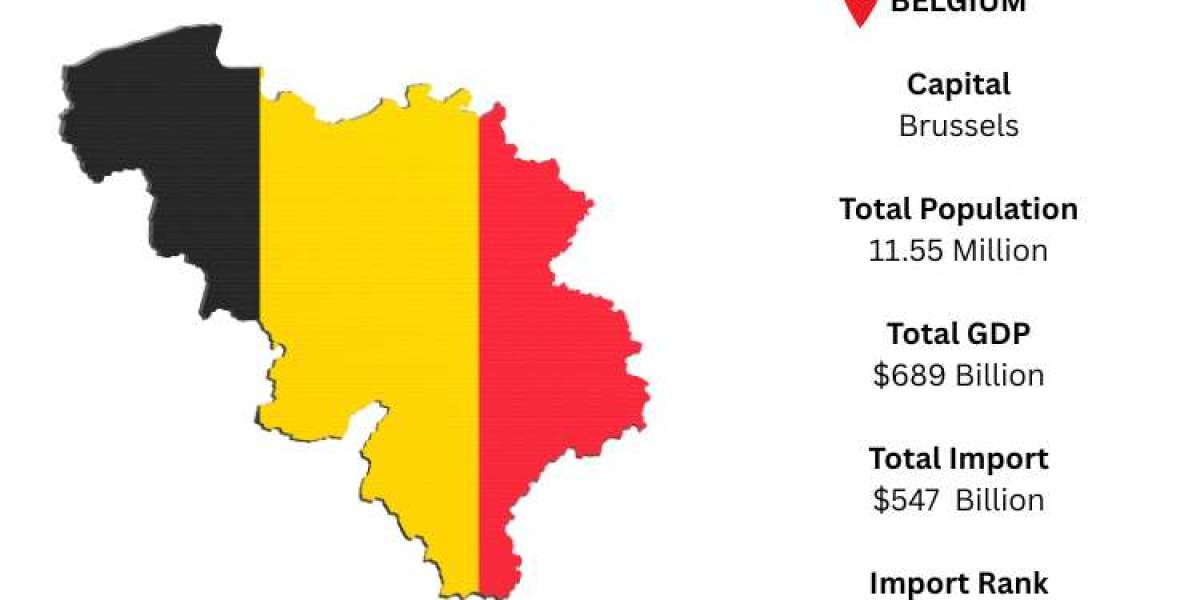 Belgium Import Data – Trade Insights and Market Opportunities