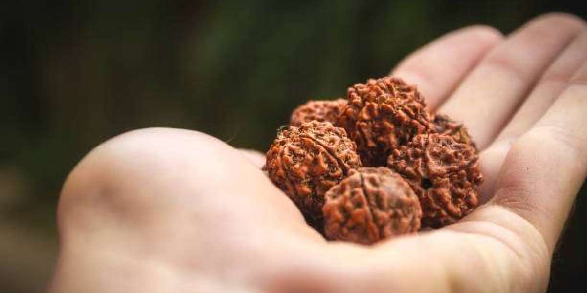 4 Mukhi Rudraksha Benefits, Meaning & Wearing Guide