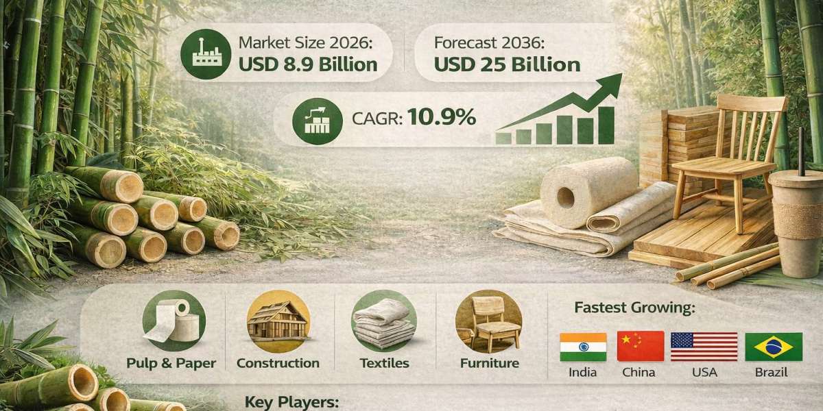 Bamboo Market to Reach USD 25 Billion by 2036 at 10.9% CAGR Growth