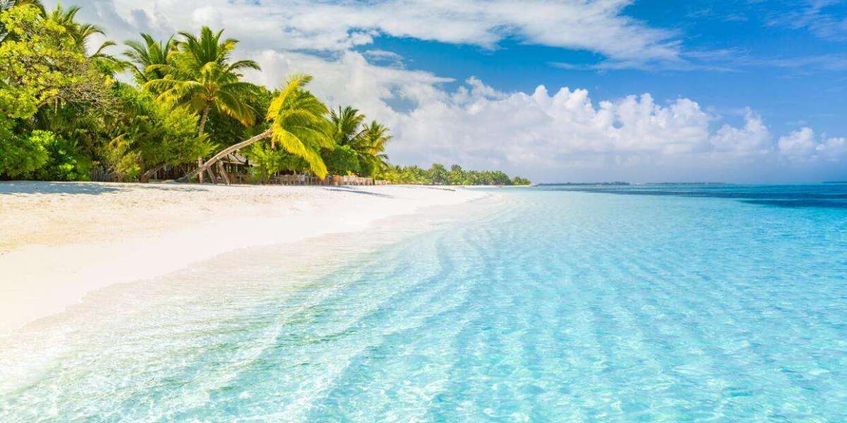 Places Events: What to Know and Attend in 2026