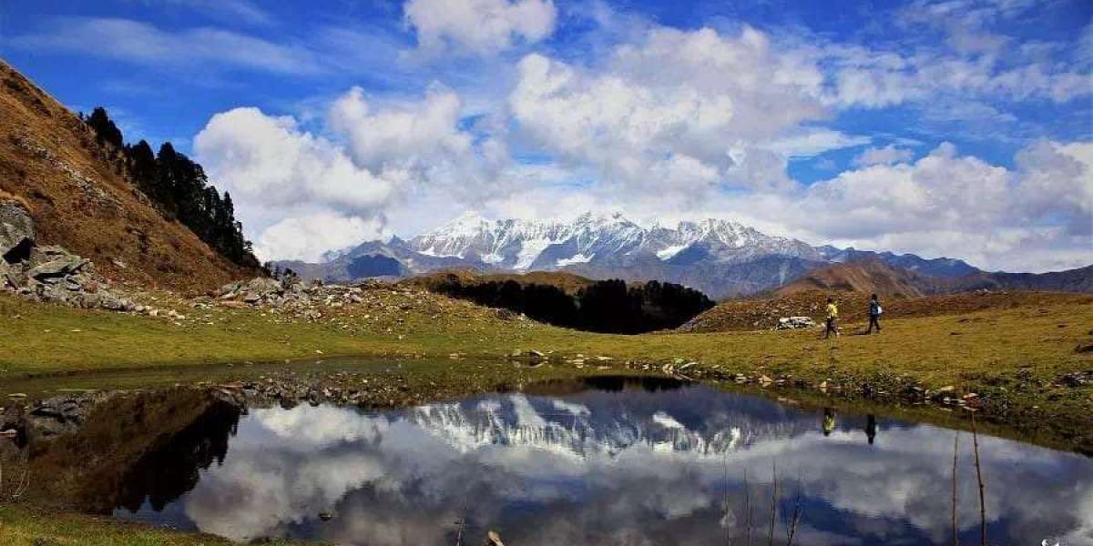 Himalayan Trekking in India: Detailed Guide to Top Treks & Expeditions | Thin Air Expedition