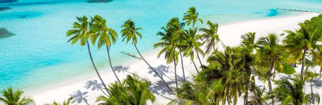 Sue Kang Cover Image