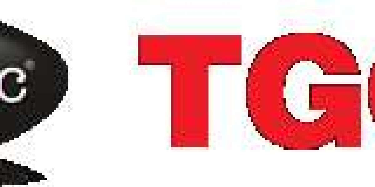 How Data Science Drives Innovation in FinTech Startups