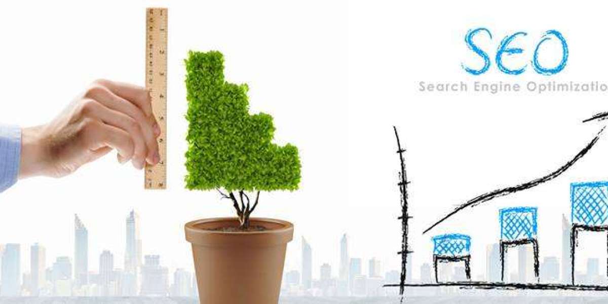 Hire SEO Freelancer – Your Trusted Digital Marketing Agency in Jaipur