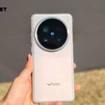 wise market Profile Picture