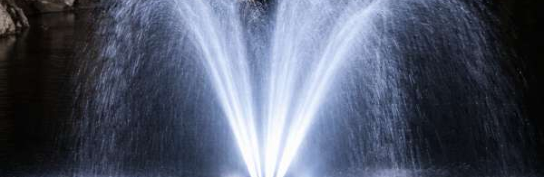 Friendly Fountains Cover Image