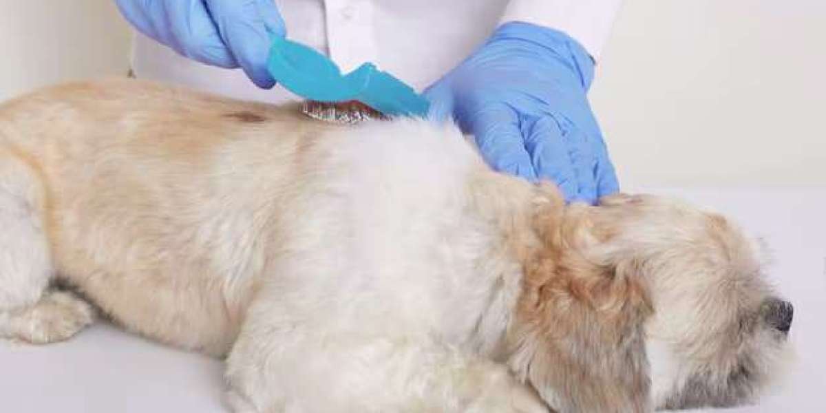 Furminator Treatment for Dogs: Complete Guide