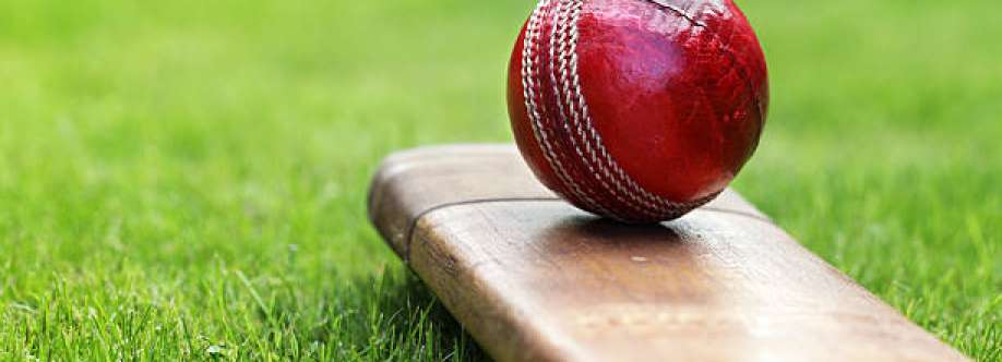 champions 11 cricket league Cover Image