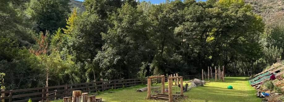 Back To Nature Cover Image