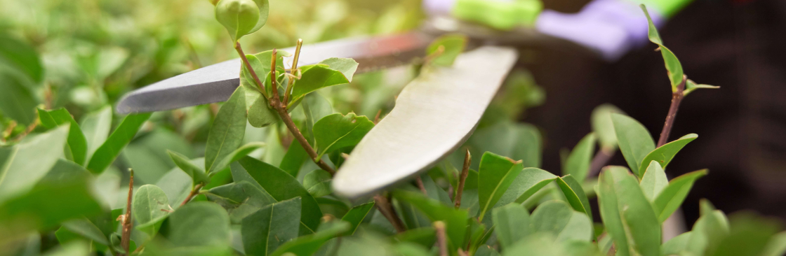 Asiya Garden Services Cover Image