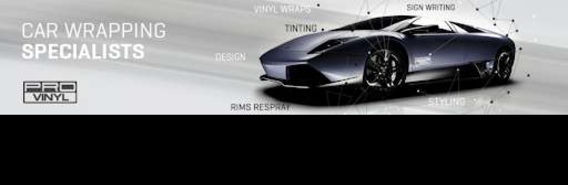 PRO Vinyl Cover Image