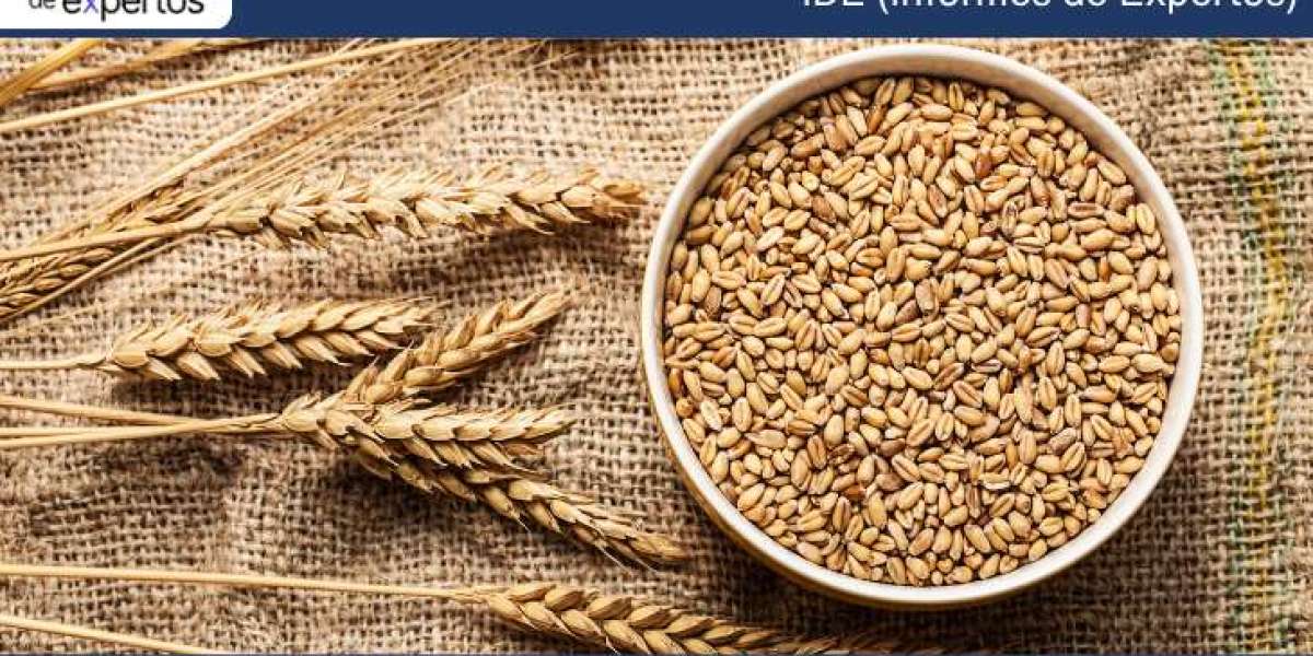 Mercado de Trigo en Chile: Crecimiento, Tendencias y Perspectivas