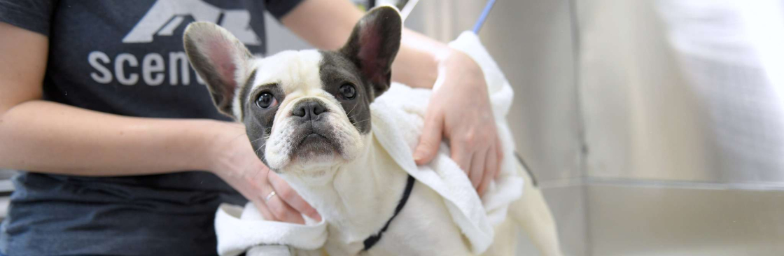 Scent Hound Apex Cover Image