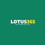 lootus365 india Profile Picture