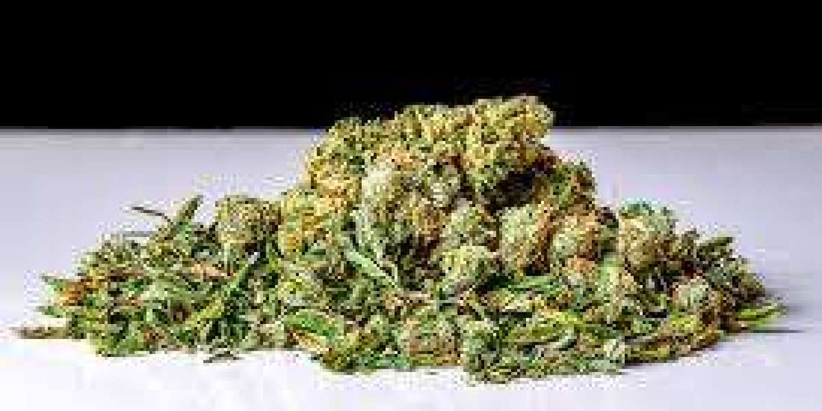 Same Day Weed Delivery Toronto: The Future of Cannabis Convenience