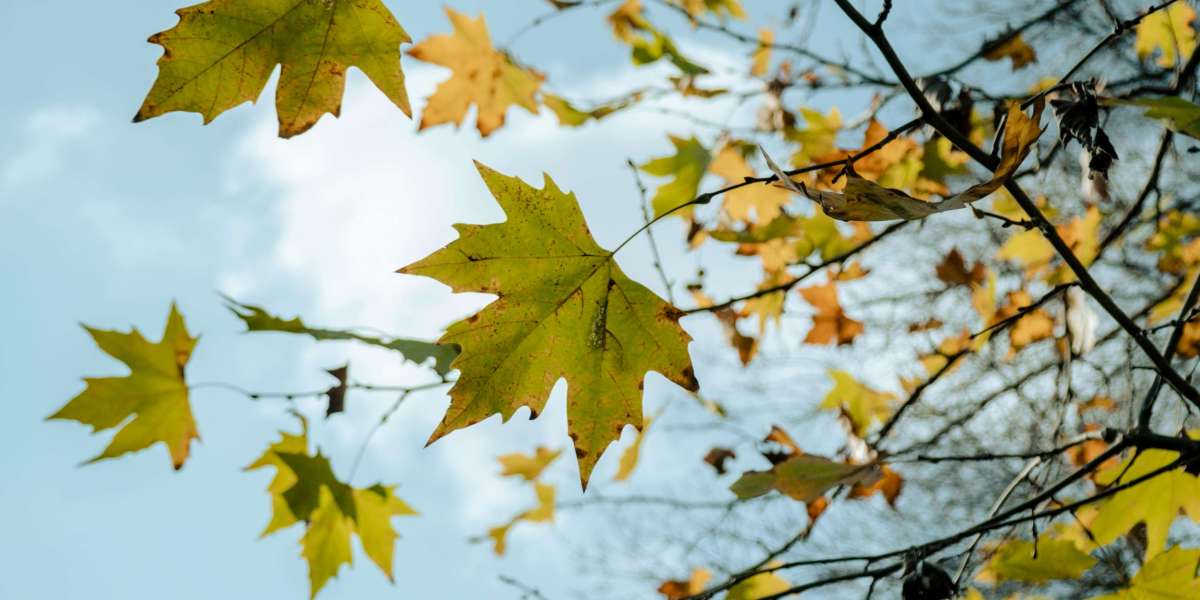 EZNPC Diablo 4 Season 12 Mythic Unique Farming Guide Fast Sparks