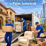 Affordable Movers and Packers in Dubai Dubai Profile Picture