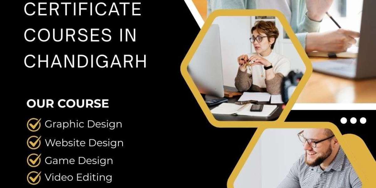 Learn New Skills Quickly with a Professional Certification Program