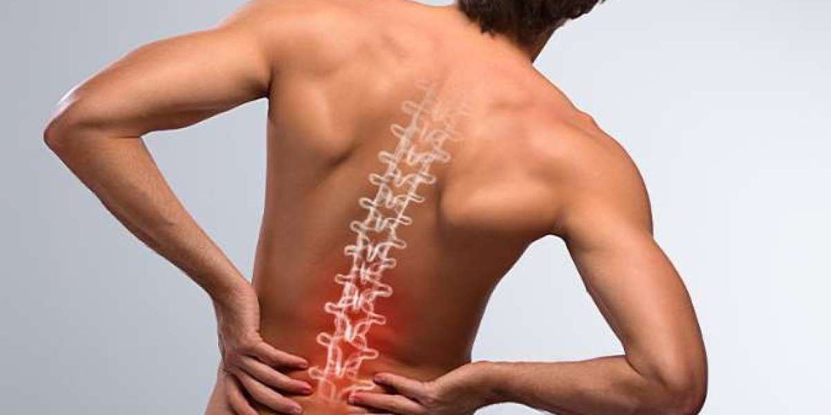 High Potency CBD Gummies – Benefits, Uses, and What to Know