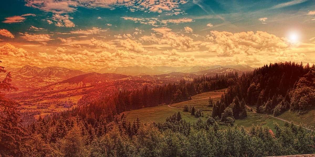 EZNPC St Patricks Steal a Brainrot Patch Notes Tips and New Drops