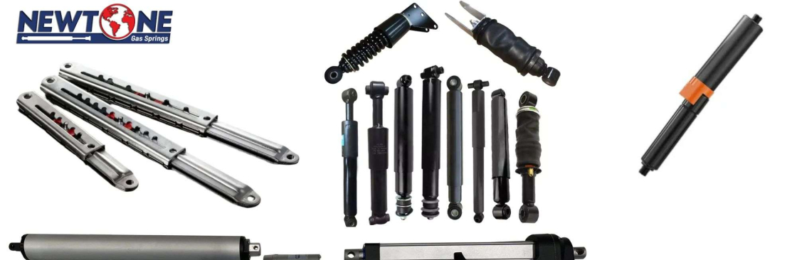 Newtone Gas Springs Cover Image