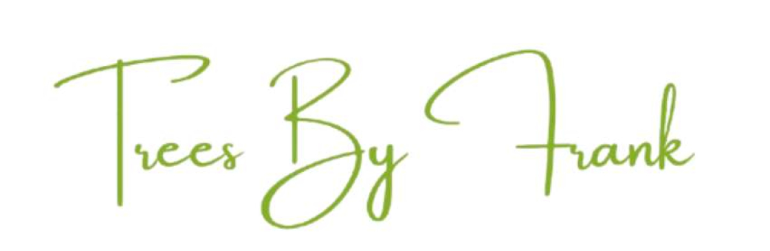 Trees By Frank Cover Image