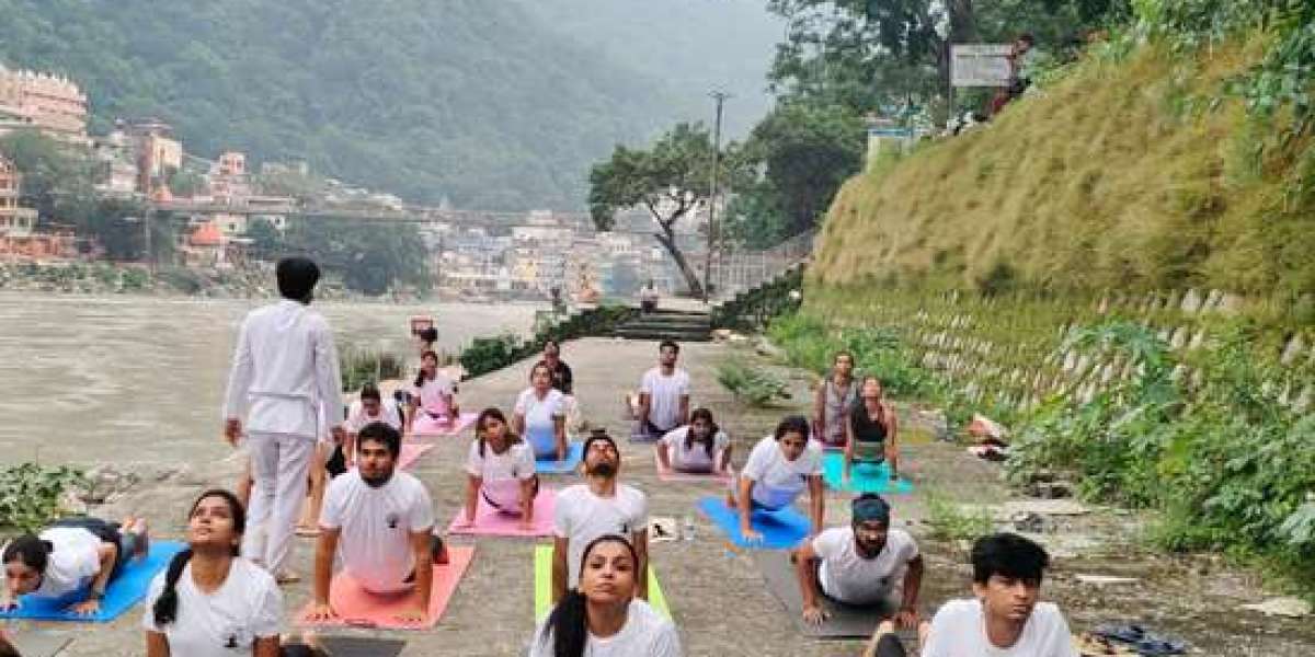 500 Hours Yoga Teacher Training India: Comprehensive Yogic Education