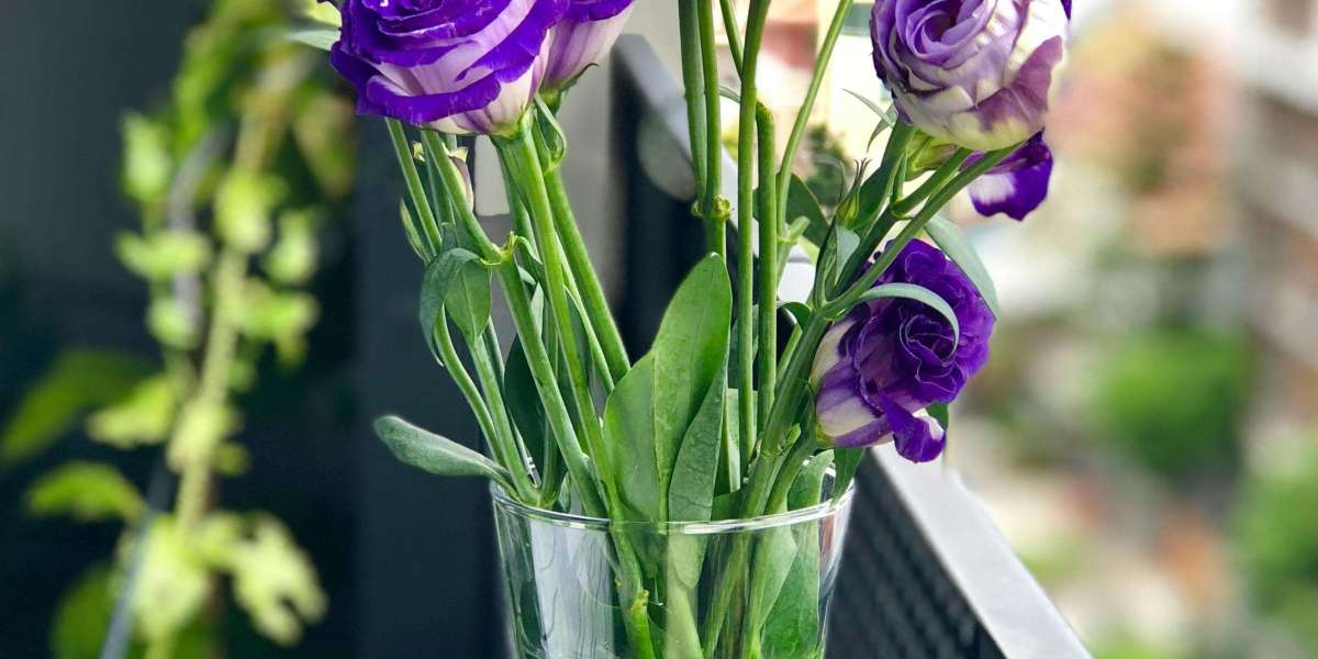 U4GM How to Craft the Best Diablo 2 Gear Fast