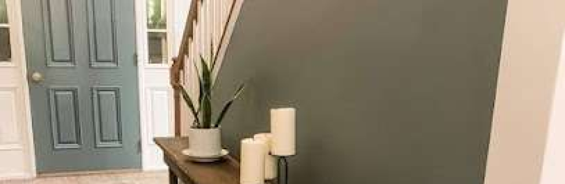 Hawk Painters Cover Image