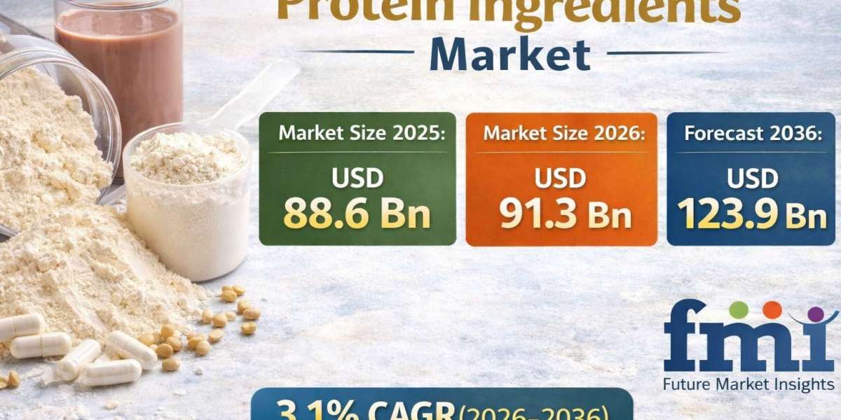 Protein Ingredients Market to Reach Significant Growth by 2036
