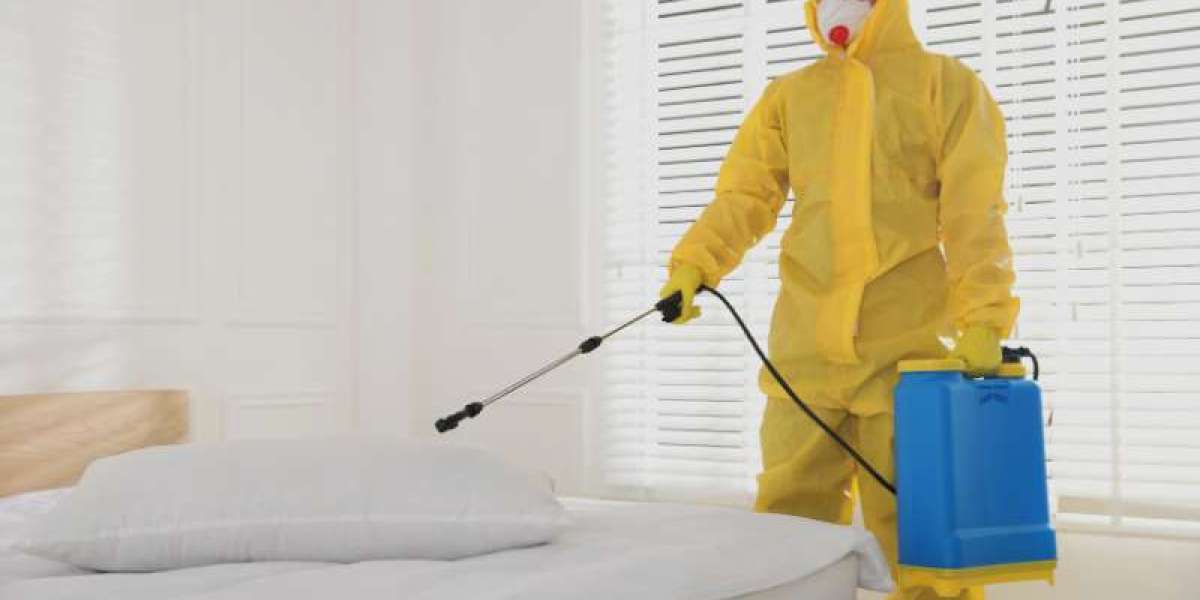 Pest Control Near Me: Reliable Protection for Your Home and Business