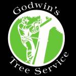 Godwins Tree Service Profile Picture
