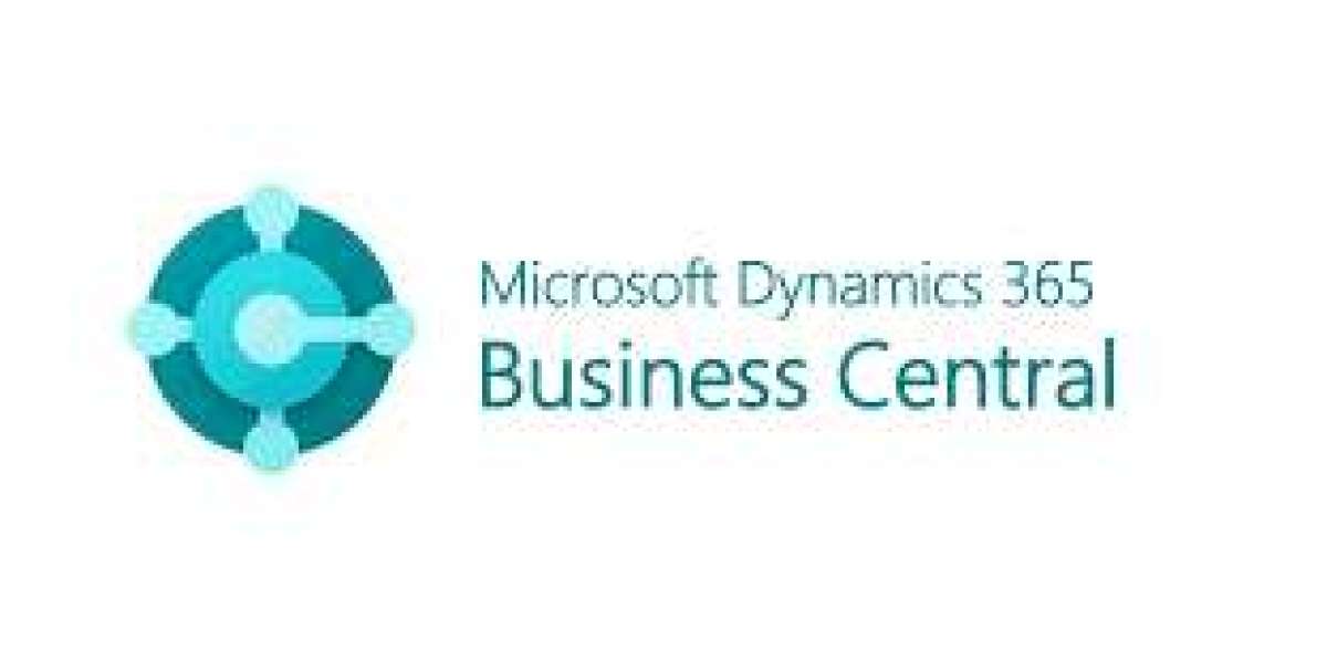 Business Central Portal: The Smarter Way to Serve Customers Without Overloading Your Team