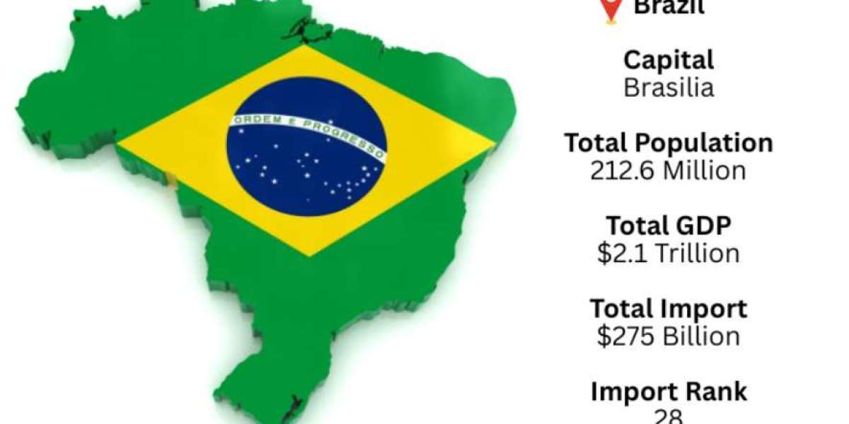 Brazil Import Data – Import Trade Insights, Market Demand & Supplier Analysis