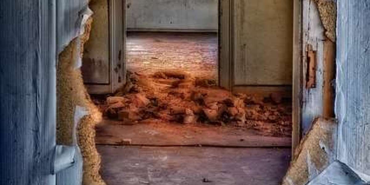 thor casino croupier live