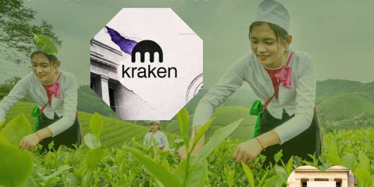 Buy LLC Verified Kraken Accounts A Smart Solution for Business Growth in 2026