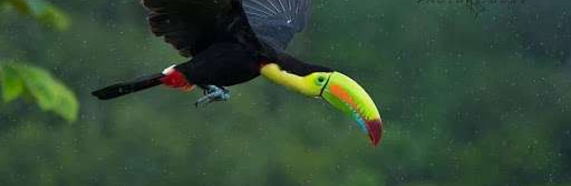 Nate Chappell Cover Image