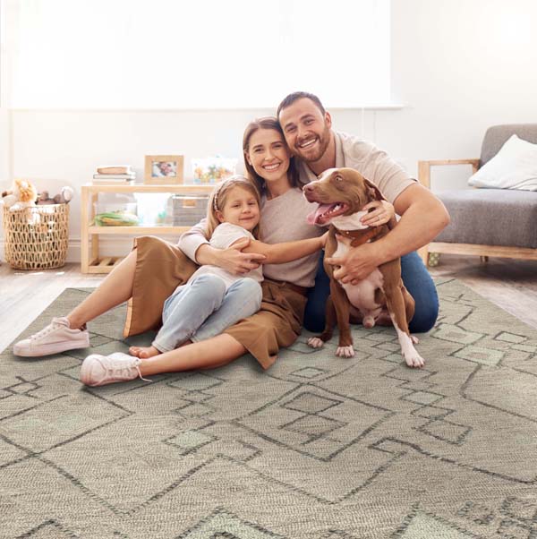 Large Rug Sizes | Standard & Extra Large Area Rugs for Living Room