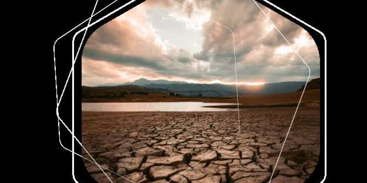 Climate Risk Analysis: Why Businesses Must Prepare for Climate-Related Risks